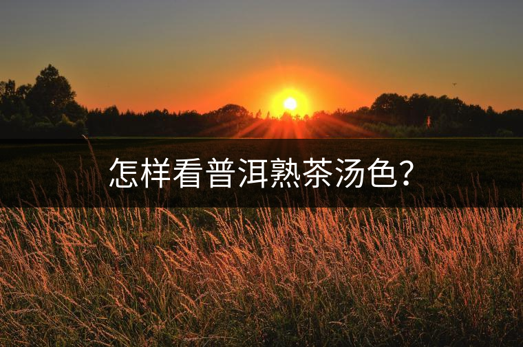 怎樣看普洱熟茶湯色？