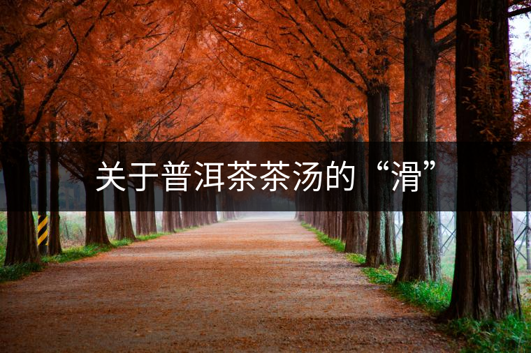 關(guān)于普洱茶茶湯的“滑”