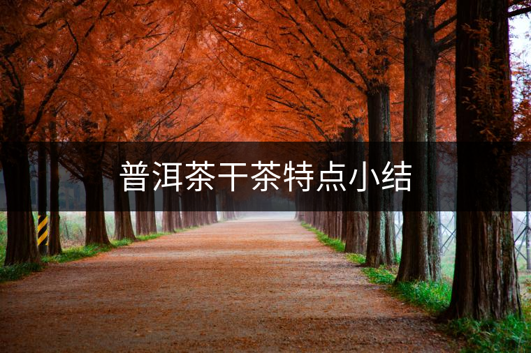 普洱茶干茶特點(diǎn)小結(jié)