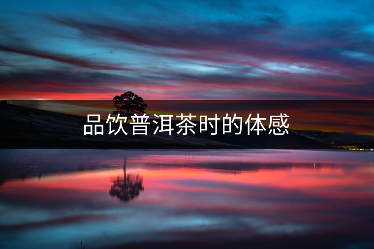 品飲普洱茶時(shí)的體感 品飲普洱茶時(shí)的體感