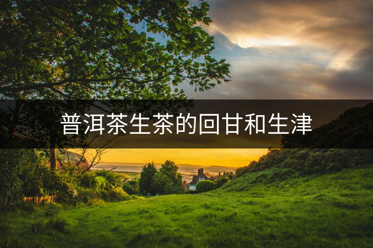 普洱茶生茶的回甘和生津 普洱茶生茶的回甘和生津