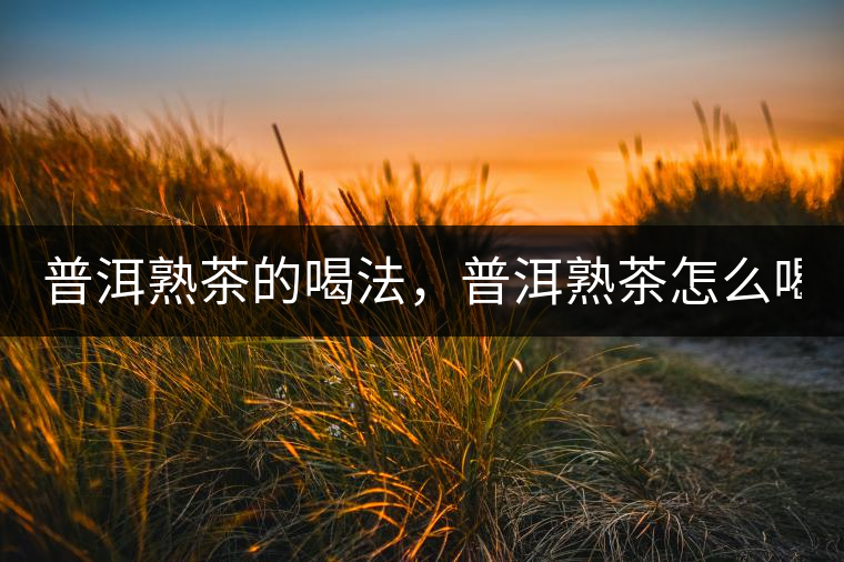 普洱熟茶的喝法，普洱熟茶怎么喝？