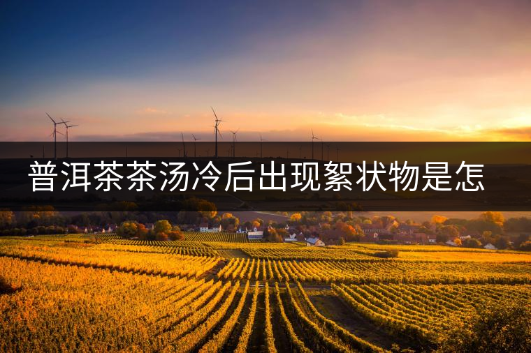 普洱茶茶湯冷后出現(xiàn)絮狀物是怎么回事？