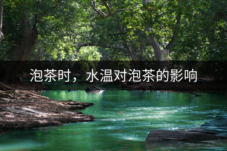 泡茶時，水溫對泡茶的影響