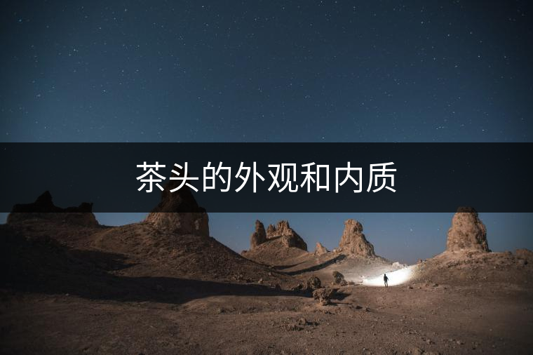 茶頭的外觀和內(nèi)質(zhì) 茶頭的外觀和內(nèi)質(zhì)