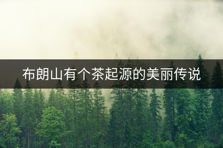 布朗山有個茶起源的美麗傳說