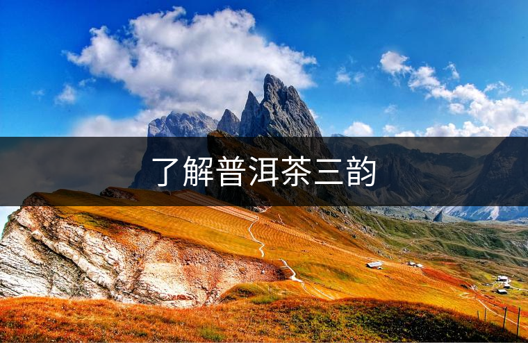 了解普洱茶三韻