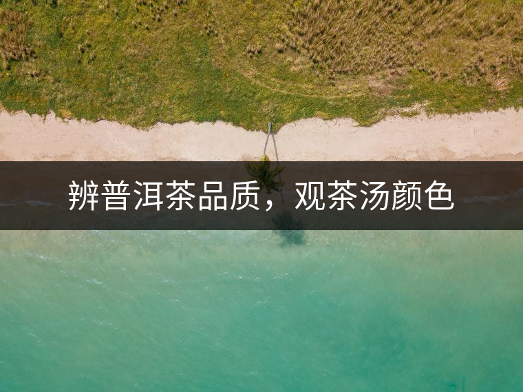 辨普洱茶品質(zhì)，觀茶湯顏色