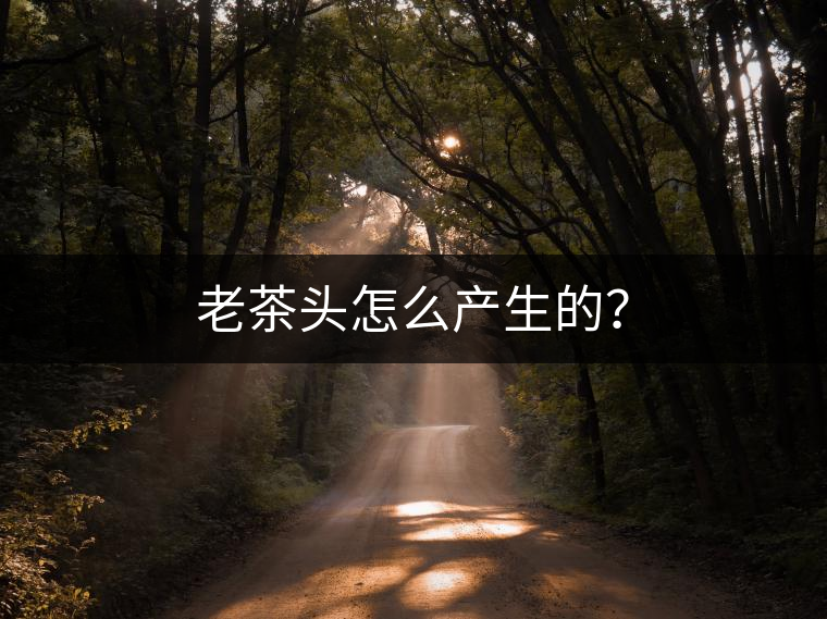 老茶頭怎么產(chǎn)生的？