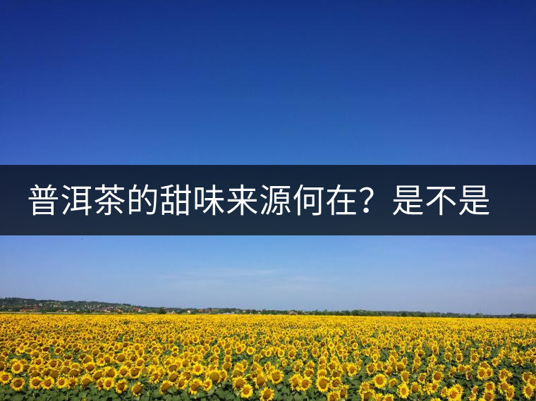 普洱茶的甜味來(lái)源何在？是不是茶湯中含糖？