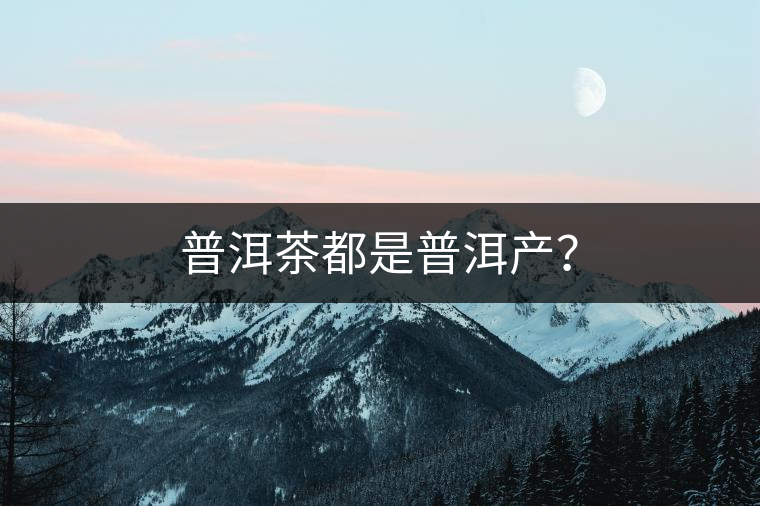 普洱茶都是普洱產(chǎn)？