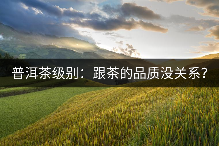 普洱茶級(jí)別:跟茶的品質(zhì)沒關(guān)系? 普洱茶級(jí)別:跟茶的品質(zhì)沒關(guān)系?