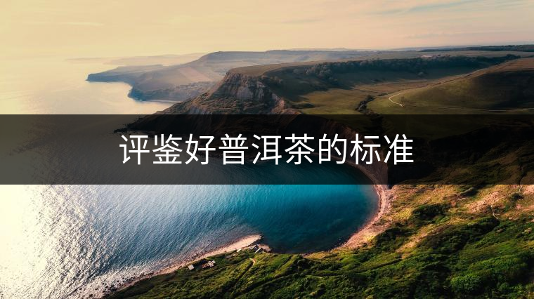 評鑒好普洱茶的標準