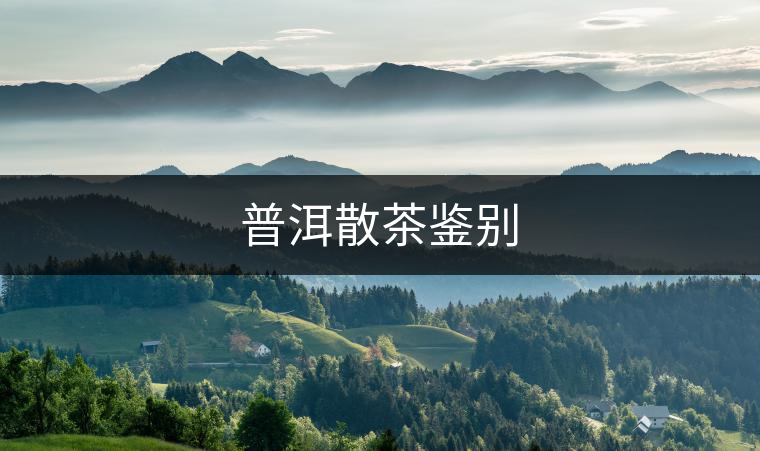 普洱散茶鑒別 普洱散茶鑒別