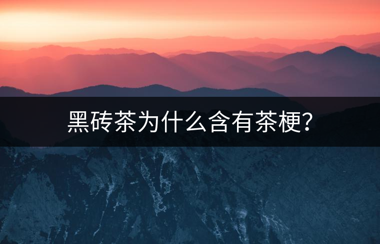 黑磚茶為什么含有茶梗？