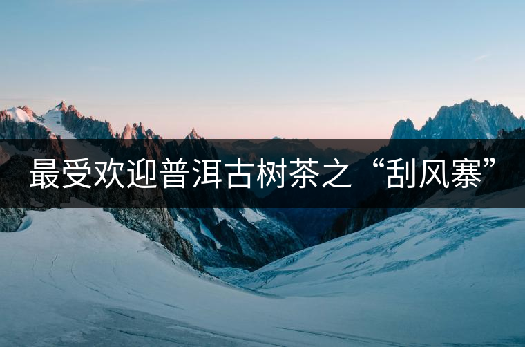 最受歡迎普洱古樹(shù)茶之“刮風(fēng)寨”