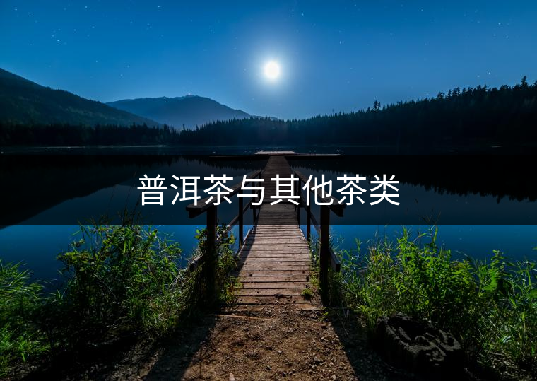 普洱茶與其他茶類