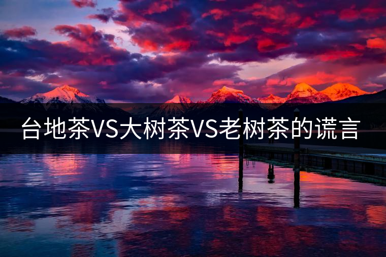 臺地茶VS大樹茶VS老樹茶的謊言你信幾個？