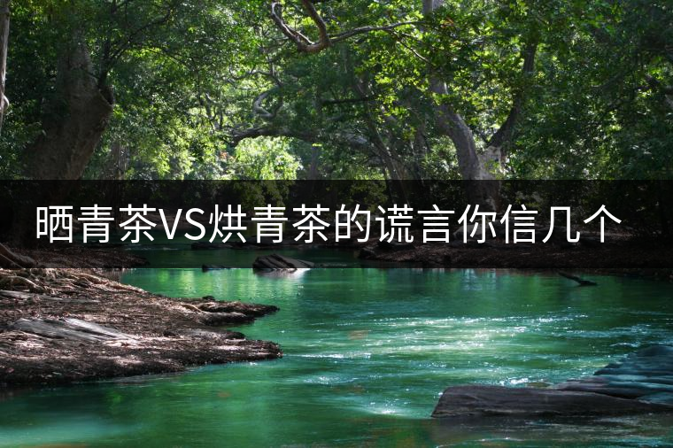 曬青茶VS烘青茶的謊言你信幾個？