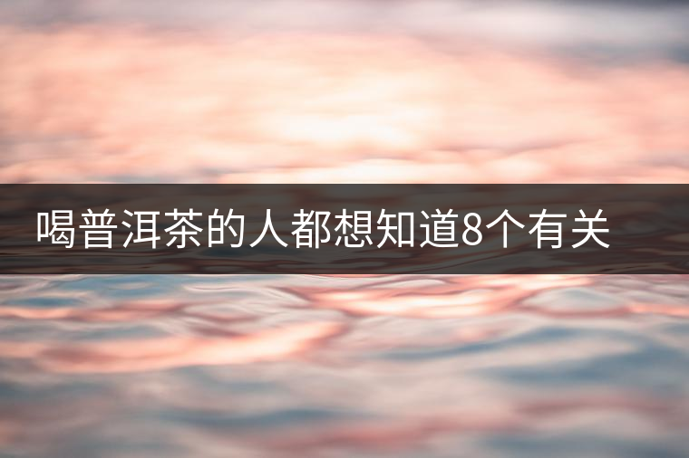 喝普洱茶的人都想知道8個有關普洱茶的問題