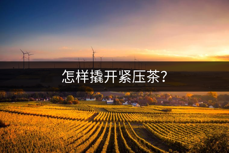 怎樣撬開緊壓茶？