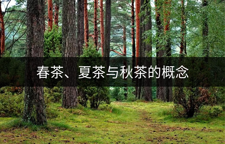 春茶、夏茶與秋茶的概念