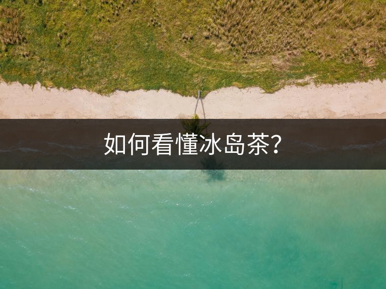 如何看懂冰島茶？