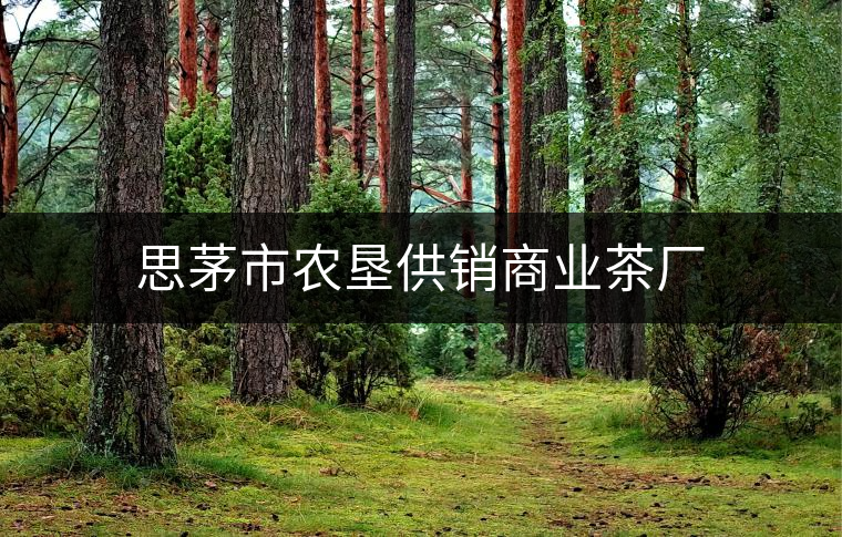 思茅市農(nóng)墾供銷(xiāo)商業(yè)茶廠(chǎng) 思茅市農(nóng)墾供銷(xiāo)商業(yè)茶廠(chǎng)