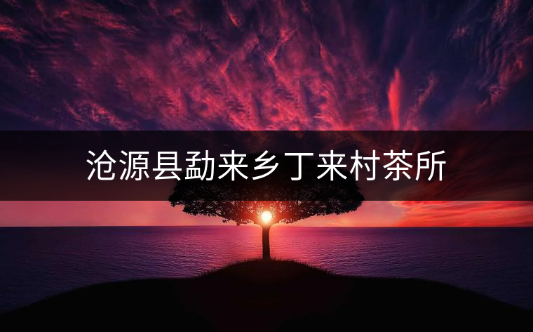 滄源縣勐來(lái)鄉(xiāng)丁來(lái)村茶所 滄源縣勐來(lái)鄉(xiāng)丁來(lái)村茶所