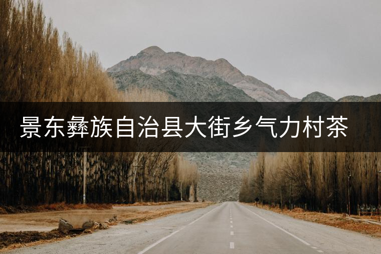 景東彝族自治縣大街鄉(xiāng)氣力村茶廠