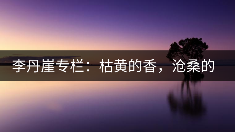 李丹崖專欄：枯黃的香，滄桑的暖