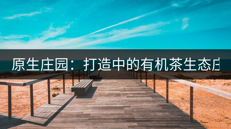 原生莊園：打造中的有機(jī)茶生態(tài)莊園（四）