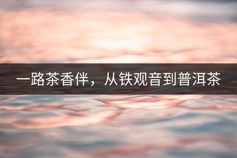 一路茶香伴，從鐵觀音到普洱茶