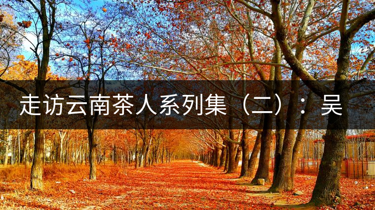 走訪云南茶人系列集(二):吳覺農(nóng)的云南弟子——彭承鑑 走訪云南茶人系列集(二):吳覺農(nóng)的云南弟子——彭承鑑