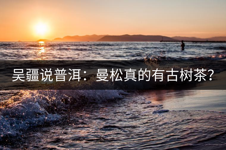 吳疆說(shuō)普洱：曼松真的有古樹(shù)茶？