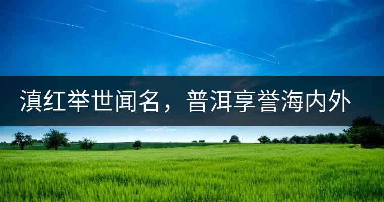 滇紅舉世聞名，普洱享譽(yù)海內(nèi)外丨專(zhuān)家座談——虞富蓮