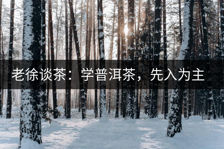 老徐談茶：學(xué)普洱茶，先入為主易被打臉，還得實(shí)踐出真知！