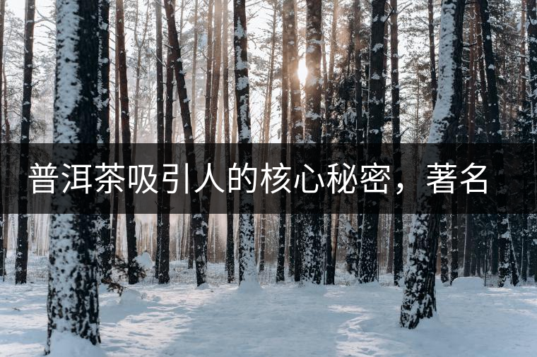 普洱茶吸引人的核心秘密，著名作家余秋雨先生三句話就告訴你