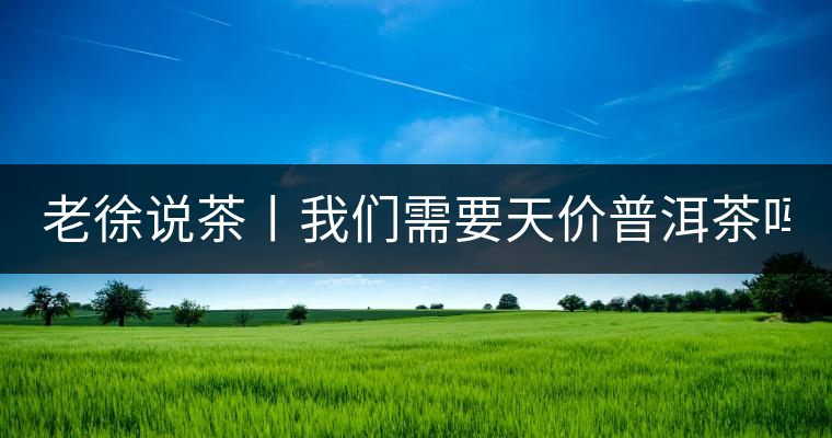 老徐說茶丨我們需要天價普洱茶嗎？