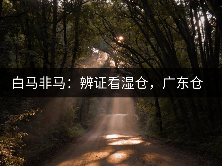 白馬非馬：辨證看濕倉(cāng)，廣東倉(cāng)、香港倉(cāng)不能簡(jiǎn)單等同濕倉(cāng)