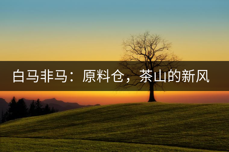 白馬非馬：原料倉，茶山的新風景