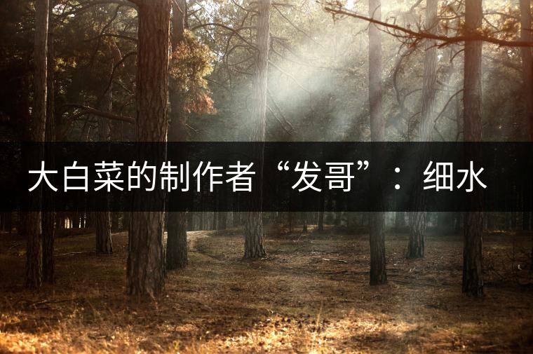 大白菜的制作者“發(fā)哥”：細(xì)水長流，做茶“急不得”