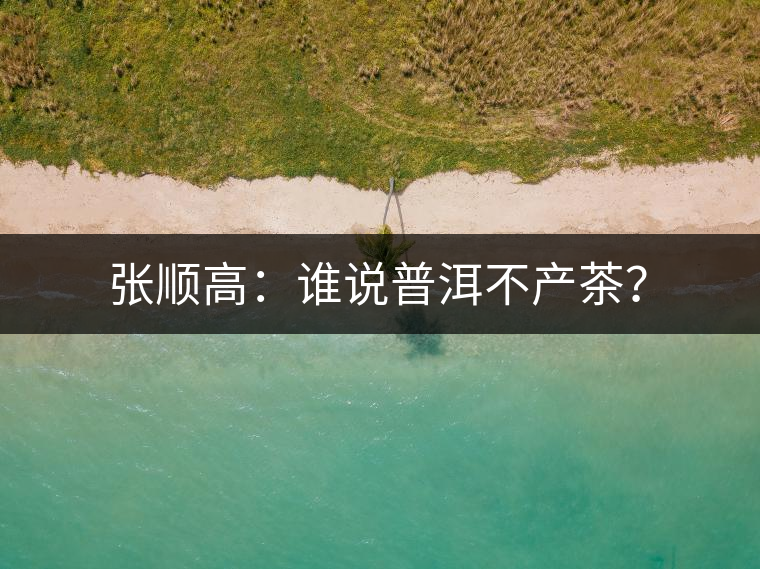 張順高：誰說普洱不產(chǎn)茶？