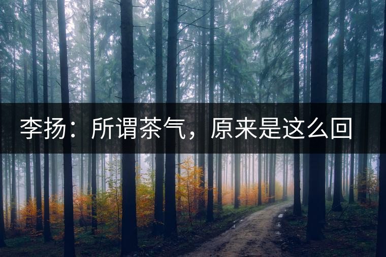 李揚：所謂茶氣，原來是這么回事