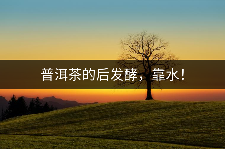 普洱茶的后發(fā)酵，靠水！