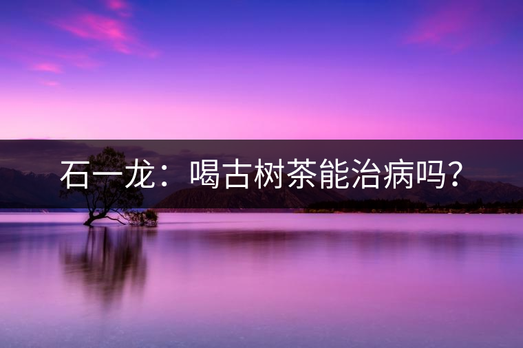 石一龍：喝古樹茶能治病嗎？