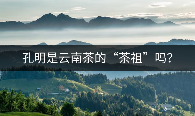 孔明是云南茶的“茶祖”嗎？