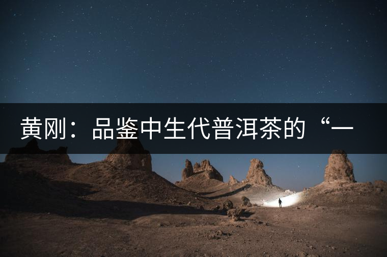 黃剛：品鑒中生代普洱茶的“一二三四五法”