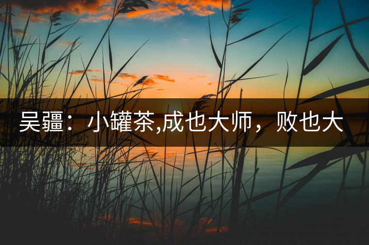 吳疆：小罐茶,成也大師，敗也大師