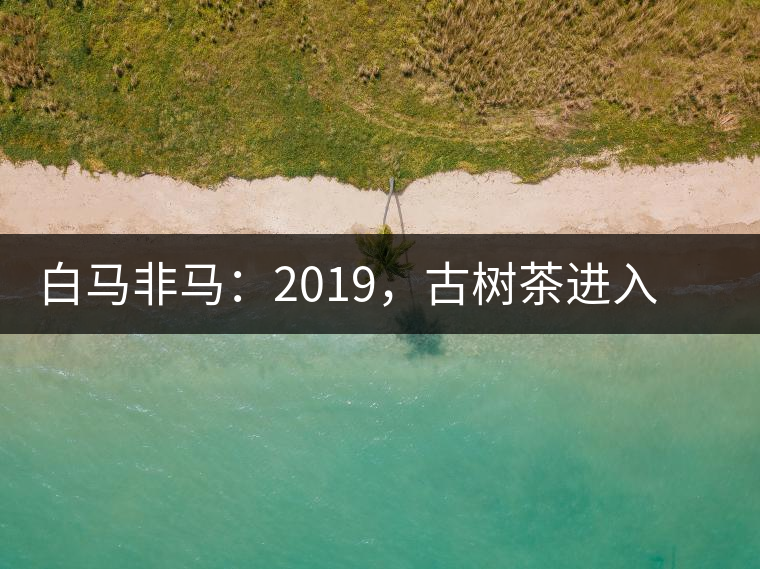 白馬非馬：2019，古樹茶進(jìn)入醇料時(shí)代